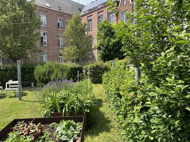 Onze tuin